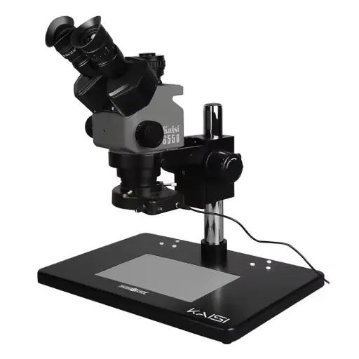 [18523] KAISI 36558 MICROSCOPIO
